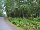L 27 Spanish Oak Drive sold home in Cedar Mountain, SC
