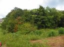 46 Hawtree Court 255 sold home in Weaverville, SC