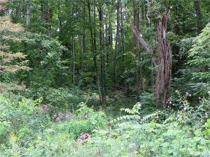 82 Hawtree Court 262 sold lot in Reems Creek Comm and Golf Club, Weaverville, NC