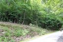 Tbd Wildflower Cove Drive 12 sold home in Swannanoa, SC