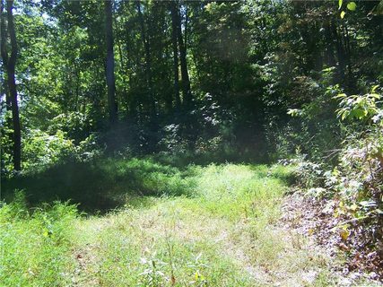 Lot 24 Running Deer Lane