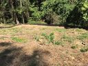 43 Ruslans Drive sold home in Asheville, SC