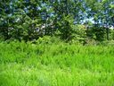 Lot 85 Big Oak Ridge sold home in Lake Lure, SC