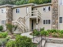 560 Britton Creek Drive sold home in Hendersonville, SC