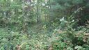 90 R Denman Drive 90-R sold home in Lake Junaluska, SC