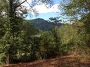 104 Walnut Drive 7 sold home in Leicester, SC