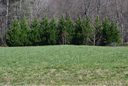 343 Old Gait Drive 7 sold home in Hendersonville, SC