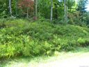 Lot 318 Rolling Ridge Trail 318 2B sold home in Lake Lure, SC