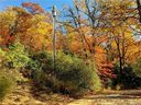99999 Shumont Road 15,38,14,35,36 sold home in Black Mountain, SC