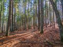 Lot 7 Cane Creek Road sold home in Fletcher, SC