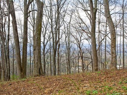 99999 Old Forest Drive Lot 3 sold lot in Pinchot Forest, Asheville, NC