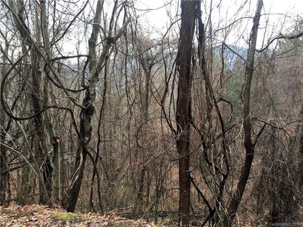 99999 Little Creek Drive 3