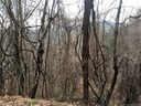 99999 Little Creek Drive 3 sold home in Canton, SC