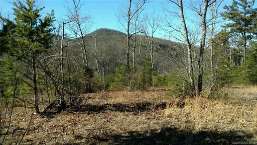 170 N Lure View Lane 58 sold home in Grand Oaks, Hendersonville, NC