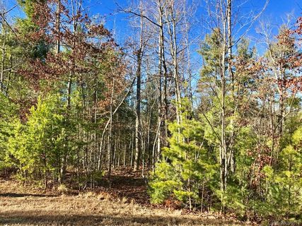 586 Monarch Road 39