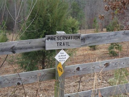 Lot 9 Preservation Trail sold home in Hughes Creek Preserve, Columbus, NC