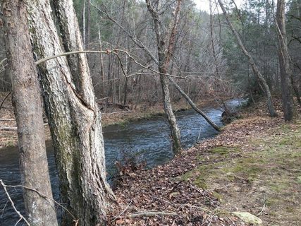 Lot 223 Redbird Drive