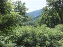 32 Campbell Mountain Drive sold home in Waynesville, SC