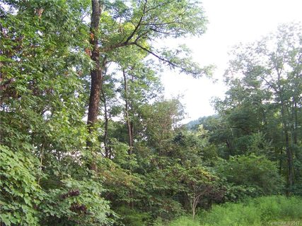 00 Pinnacle Lane Lot 72