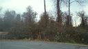 717 Virginia Pine Lane 3 sold home in Clover, SC