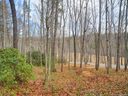 Lot 15 Bridgewater Drive sold home in Fletcher, SC