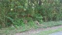 0 Randy Drive 40 sold home in Gastonia, SC