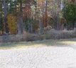 10232 Meadow Hollow Drive sold home in Mint Hill, SC