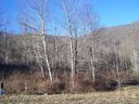Lot 21 Tizwood Drive sold home in Waynesville, SC