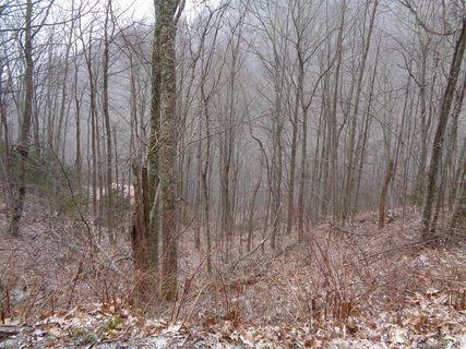 Lot 13 Wolf Laurel Drive