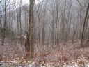 Lot 13 Wolf Laurel Drive sold home in Maggie Valley, SC