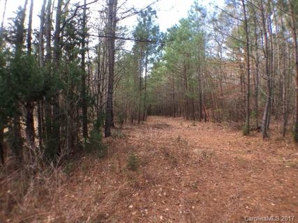 506 Live Oaks Court 2 B sold lot in Wildwood, Fort Mill, SC