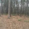 291 Duncan Estate Drive 10 sold home in Fletcher, SC