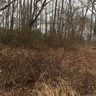 29 Farm Pond Lane 38 sold home in Candler, SC