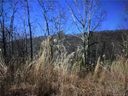 1055 Morgan Hill Road sold home in Black Mountain, SC