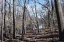 345 Squirrel Lane sold home in Lake Wylie, SC