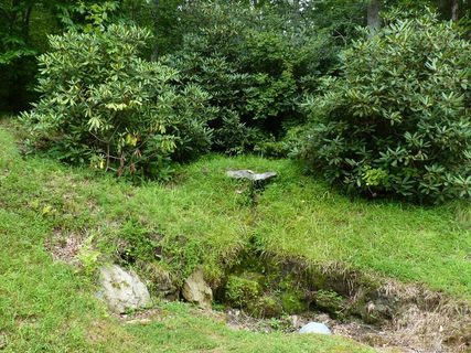 166 Chattooga Run 293