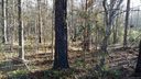01 A Woodlawn Lane 1,2,3 sold home in Indian Trail, SC