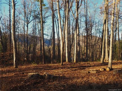 0000 Snook S Path Lot 3 sold lot in Bailey View, Mars Hill, NC