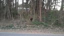 Lot 66 Ponderosa Circle sold home in Mooresville, SC