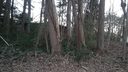 Lot 67 Ponderosa Circle sold home in Mooresville, SC
