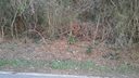 Lot 70 Ponderosa Circle sold home in Mooresville, SC