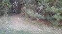 Lot 71 Ponderosa Circle sold home in Mooresville, SC