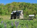 225 Triple Creek Drive sold home in Clyde, SC