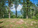 Lot 19 Peregrine Lane sold home in Asheville, SC