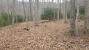 Lot 28 Buckeye Branch Drive sold home in Clyde, SC