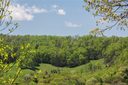 00 Mcintyre Drive Lot 23 sold home in Asheville, SC