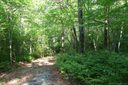 91 B Blue Bird Trail sold home in Brevard, SC