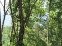 0 Cove Creek Drive sold home in Rutherfordton, SC