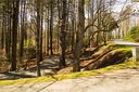 16 Redwood Street 49 sold home in Brevard, SC