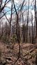 0000 Hawks Ridge Drive Lot J Sec 6 sold home in Whittier, SC